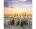 Hornbach Glasbild Lonely Dune 30x30 cm GLA1304