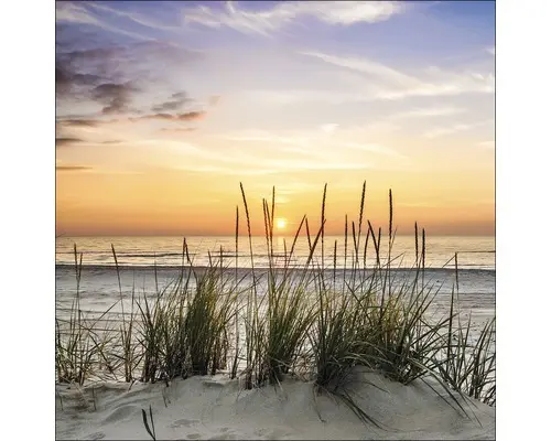 Glasbild Lonely Dune 50x50 cm