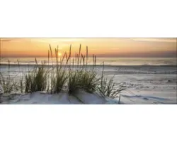 Glasbild Lonely Dune 50x125 cm GLA1304