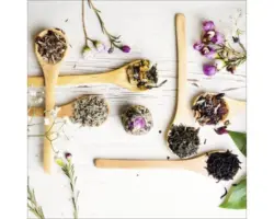 Glasbild Herbage On Spoon I 30x30 cm GLA1359