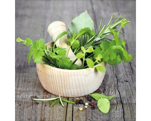 Glasbild Green Basil In Bowl I 50x50 cm