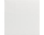 Hornbach LECO Malerglasvlies weiß pigmentiert 195 g/m² 50 m x 1 m