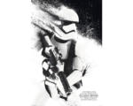 Hornbach Maxi Poster Stormtrooper 61x91,5 cm