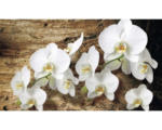 Hornbach Fototapete Vlies 1017 VEXXL Orchidee auf Brett 3-tlg. 312 x 219 cm