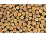 Hornbach Fototapete Papier 1068 P4 Holzstämme 2-tlg. 254 x 184 cm