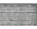 Hornbach Fototapete Vlies 1660 VEXXL Betonwand 3-tlg. 312 x 219 cm