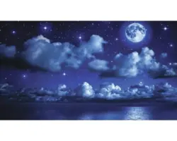 Fototapete Papier 1731 P8 Mondnacht 4-tlg. 368 x 254 cm