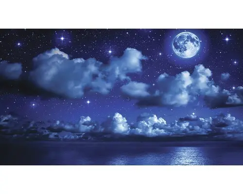 Fototapete Papier 1731 P8 Mondnacht 4-tlg. 368 x 254 cm