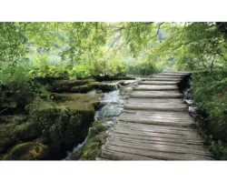 Fototapete Papier Bach 368x254 cm