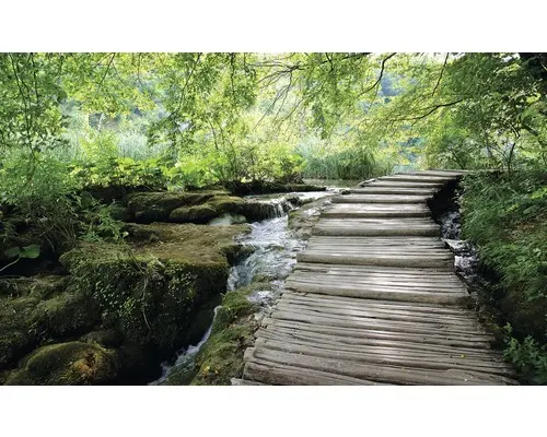 Fototapete Papier Bach 368x254 cm