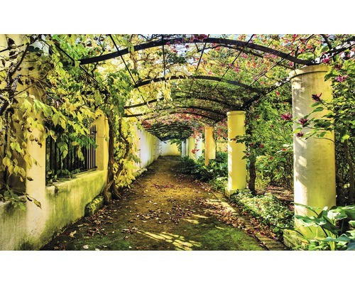 Fototapete Papier 2296 P8 Garten Pergola 4-tlg. 368 x 254 cm