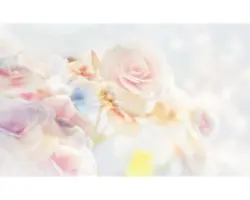 Fototapete Papier 2701 P8 Rosen 4-tlg. 368 x 254 cm