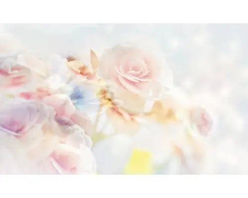 Fototapete Papier 2701 P8 Rosen 4-tlg. 368 x 254 cm