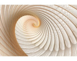 Fototapete Papier 308 P8 Schnecke beige 4-tlg. 368 x 254 cm