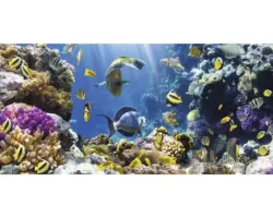 Infrarot Bildheizung Motiv 12569040 120x80 cm 1000 Watt