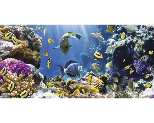 Infrarot Bildheizung Motiv 12569040 120x80 cm 1000 Watt