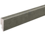 Hornbach SKANDOR Sockelleiste PVC KU048L Raw Steel hochglanz FOFA219 15 x 38,5 x 2400 mm