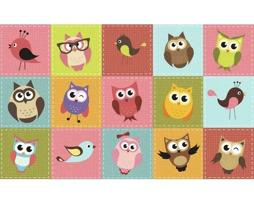 Fototapete Vlies Eulen 416x254 cm