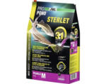 Hornbach JBL ProPond Sterlet M 6,0 kg