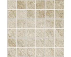 Feinsteinzeugmosaik Discovery Sunwood 30,0x30,0 cm beige matt