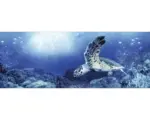 Hornbach Glasbild Blue Sea I 30x80 cm