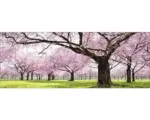 Hornbach Glasbild Colourful Trees 30x80 cm