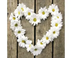 Glasbild Flower Heart I 50x50 cm