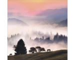Hornbach Glasbild Landscape At Morning 30x30 cm