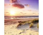 Hornbach Glasbild Sea Harmony 30x30 cm