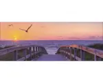 Hornbach Glasbild Way To Sea 30x80 cm