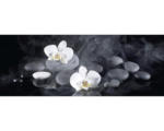 Hornbach Glasbild White Orchid III 50x125 cm