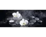 Hornbach Glasbild White Orchid III 50x125 cm