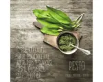 Hornbach Glasbild Pesto 50x50 cm