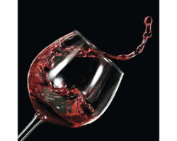 Glasbild Red Wine V 20x20 cm