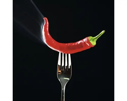Glasbild Pepper On Black II 50x50 cm