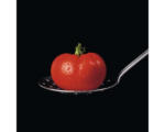 Hornbach Glasbild Tomato On Black 20x20 cm