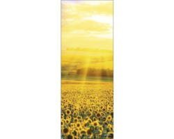 Glasbild In The Summer II 30x80 cm