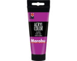 Hornbach Marabu Künstler- Acrylfarbe Acryl Color 014 magenta 100 ml