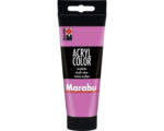 Hornbach Marabu Künstler- Acrylfarbe Acryl Color 033 rosa 100 ml