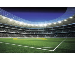 Fototapete Papier 1213 P8 Fußballstadion 4-tlg. 368 x 254 cm