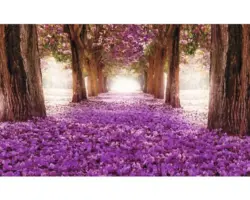 Fototapete Papier 2378 P4 Blütenallee 2-tlg. 254 x 184 cm