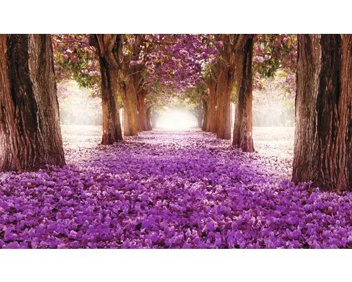 Fototapete Papier 2378 P4 Blütenallee 2-tlg. 254 x 184 cm