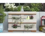 Hornbach Palettenhochbeet Vertikalbeet Kräuter 120 x 40 x 84 cm cremeweiß