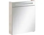 Hornbach LED-Spiegelschrank Fackelmann B.clever 1-türig 60x71x16 cm beige