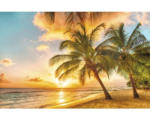 Hornbach Fototapete Vlies 18049 Barbados Palm Beach 2 Palmen 7-tlg. 350 x 260 cm