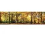 Hornbach Fototapete Vlies 17003 Panorama Autum Forrest 2-tlg. 350 x 100 cm