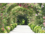 Hornbach Fototapete Vlies 18012 Rose Arch Garden 7-tlg. 350 x 260 cm