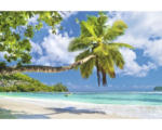 Hornbach Fototapete Vlies 18019 Seychelles Palm Beach 7-tlg. 350 x 260 cm