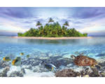 Hornbach Fototapete Vlies 18025 Marine Life Maldives 7-tlg. 350 x 260 cm