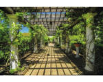 Hornbach Fototapete Vlies 18033 Garden Walkway 7-tlg. 350 x 260 cm